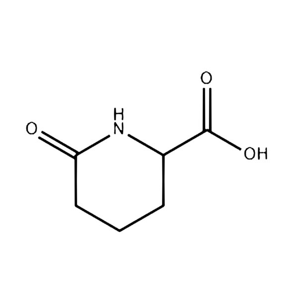 6-OXO-PIPERIDINE-2-CARBOXYLIC ACID